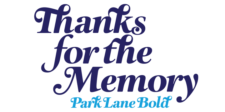 Park Lane Family Font - Featured Image