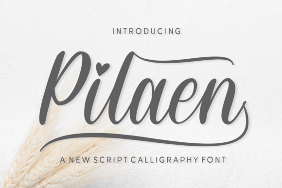 Pilaen Font - Featured Image