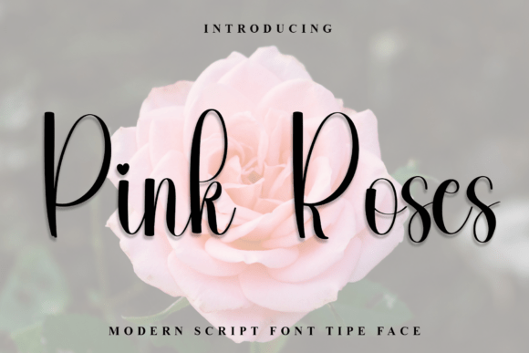 Pink Roses Font - Featured Image