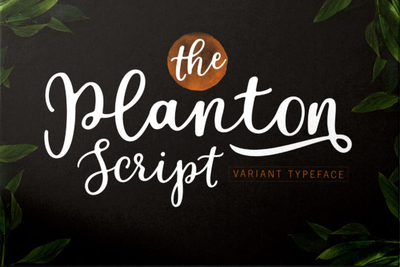 Planton Script Font - Featured Image