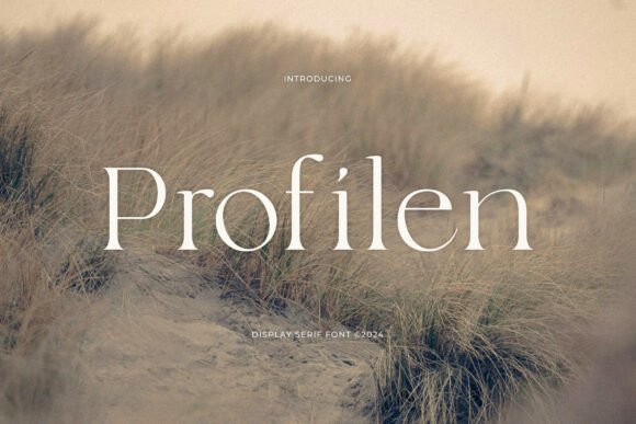 Profilen Font - Featured Image
