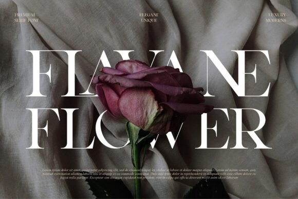Qealiz Font - Featured Image