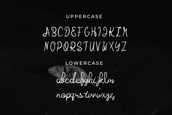 Qully Font - Featured Image
