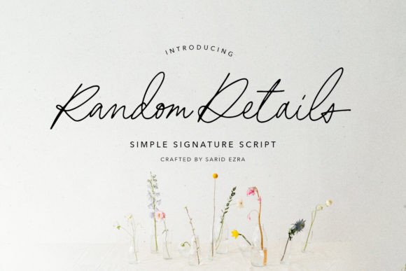 Random Details Font - Featured Image