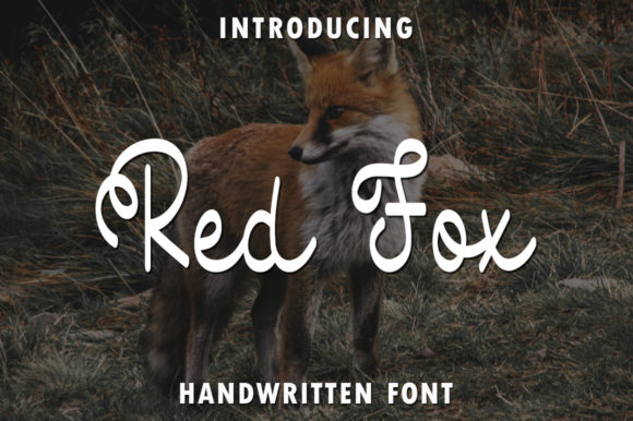Red Fox Font - Featured Image