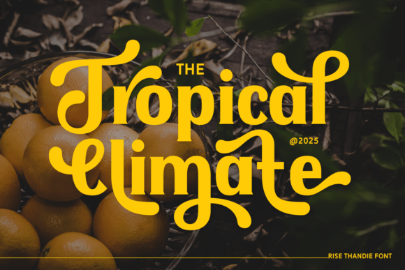 Rise Thandie Font - Featured Image