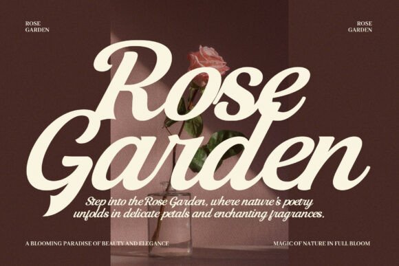 Risty Font - Featured Image
