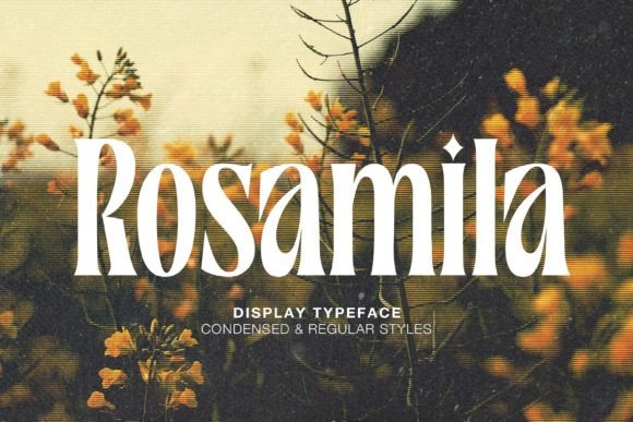 Rosamila Font - Featured Image