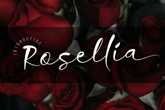 Rosellia Font - Featured Image