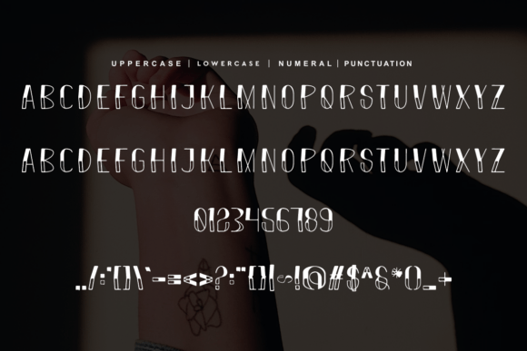 Round Linera Font - Featured Image