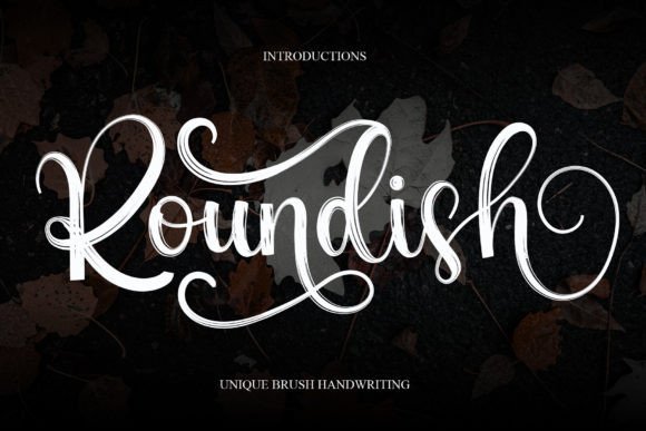 Roundish Font - Featured Image