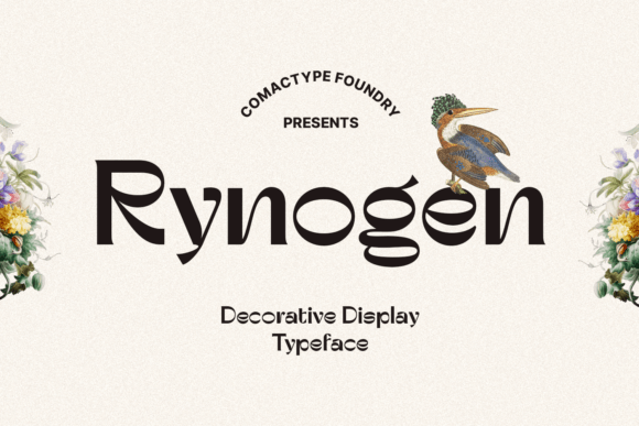 Rynogen Font - Featured Image