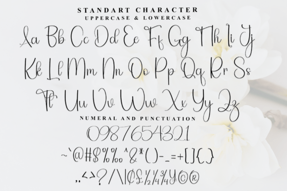 Samantha Autography Font - Featured Image