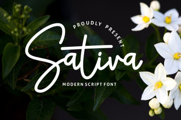 Sativa Font - Featured Image