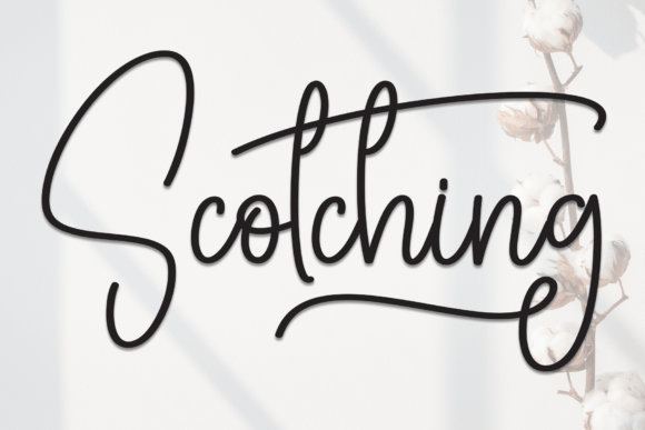 Scotching Font - Featured Image