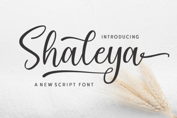 Shaleya Font - Featured Image