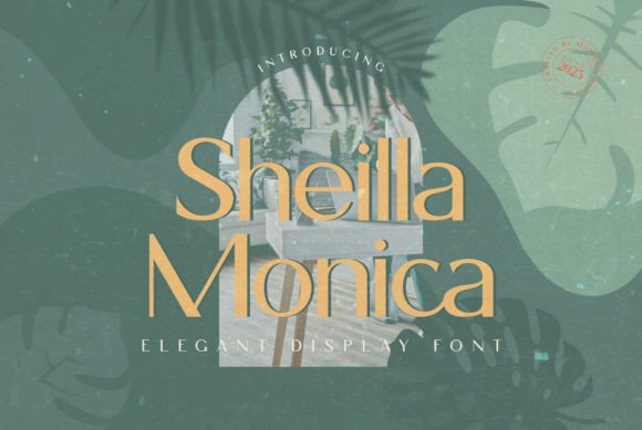 Sheilla Monica Font - Featured Image