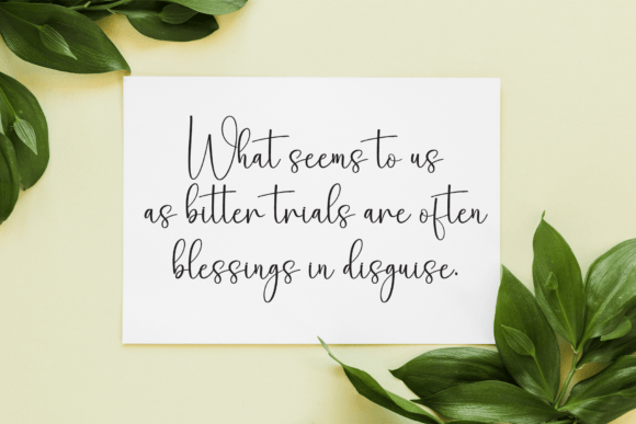 Signature Handwriting Font - Featured Image