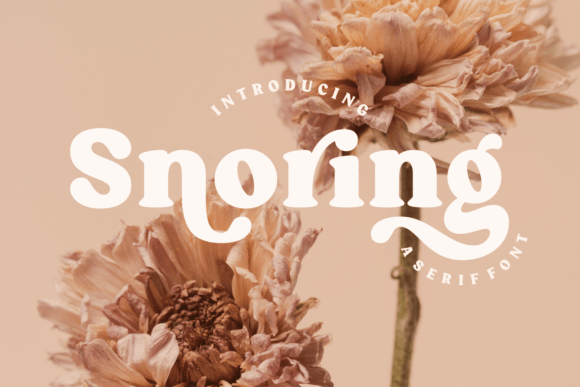 Snoring Font - Featured Image