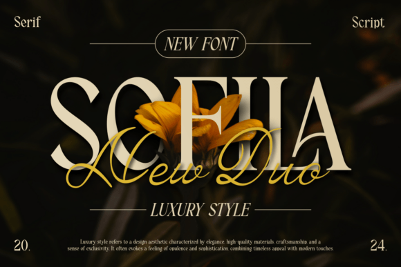 Sofila Font - Featured Image