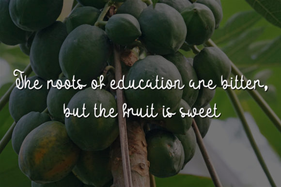 Sour Papaya Font - Featured Image