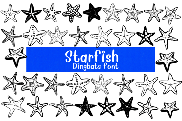 Starfish Font - Featured Image