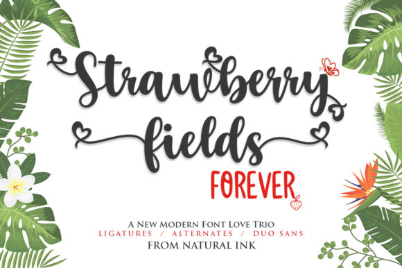 Strawberry Fields Forever Font - Featured Image