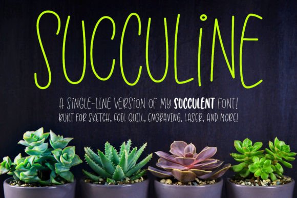 Succuline (single Line) Font - Featured Image