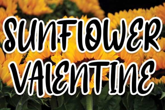 Sunflower Valentine Font - Featured Image