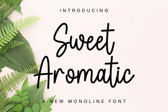 Sweet Aromatic Font - Featured Image