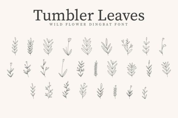Tumbler Leaves Font - Featured Image