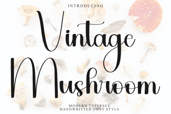Vintage Mushroom Font - Featured Image