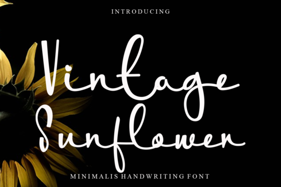 Vintage Sunflower Font - Featured Image