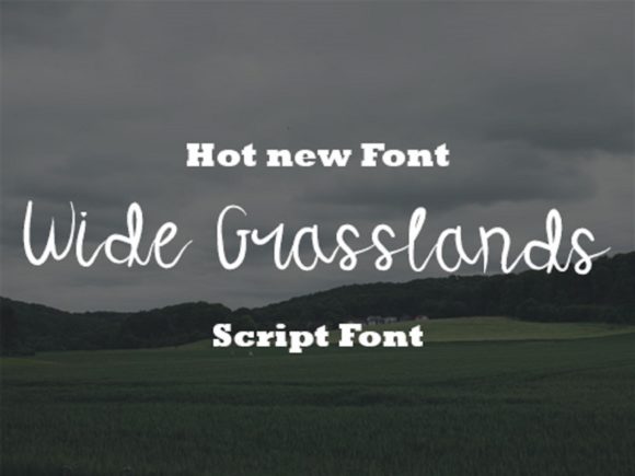 Wide Grasslands Font - Featured Image