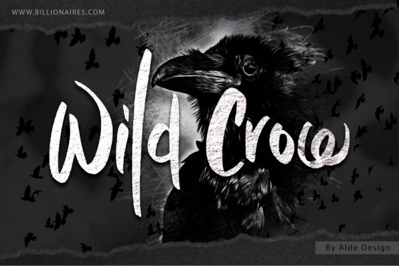 Wild Crow Font - Featured Image