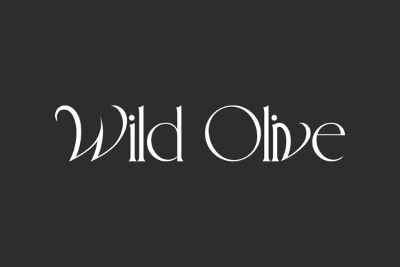 Wild Olive Font - Featured Image
