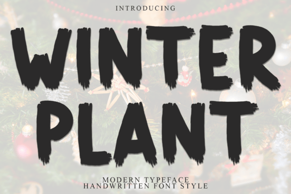 Winter Plant Font - Featured Image