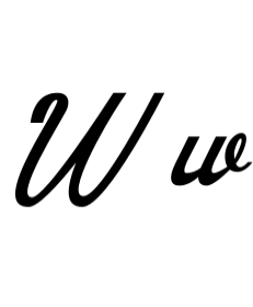 Wolte Script Font - Featured Image