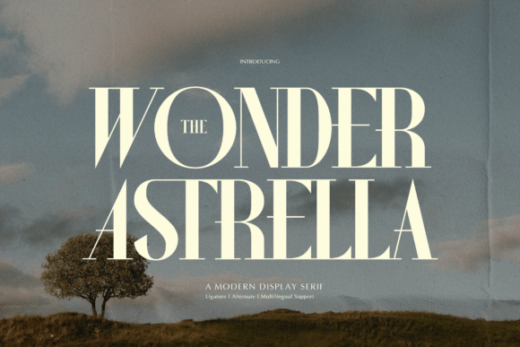 Wonder Astrella Font - Featured Image