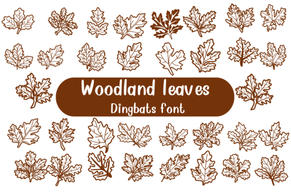 Woodland Leaves Font - Featured Image