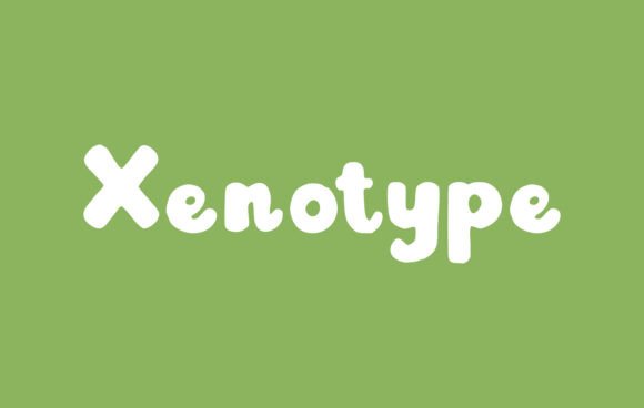 Xenotype Font - Featured Image