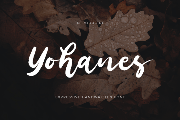 Yohanes Font - Featured Image
