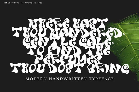 You Fontype Font - Featured Image
